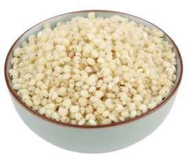 nasisorgum